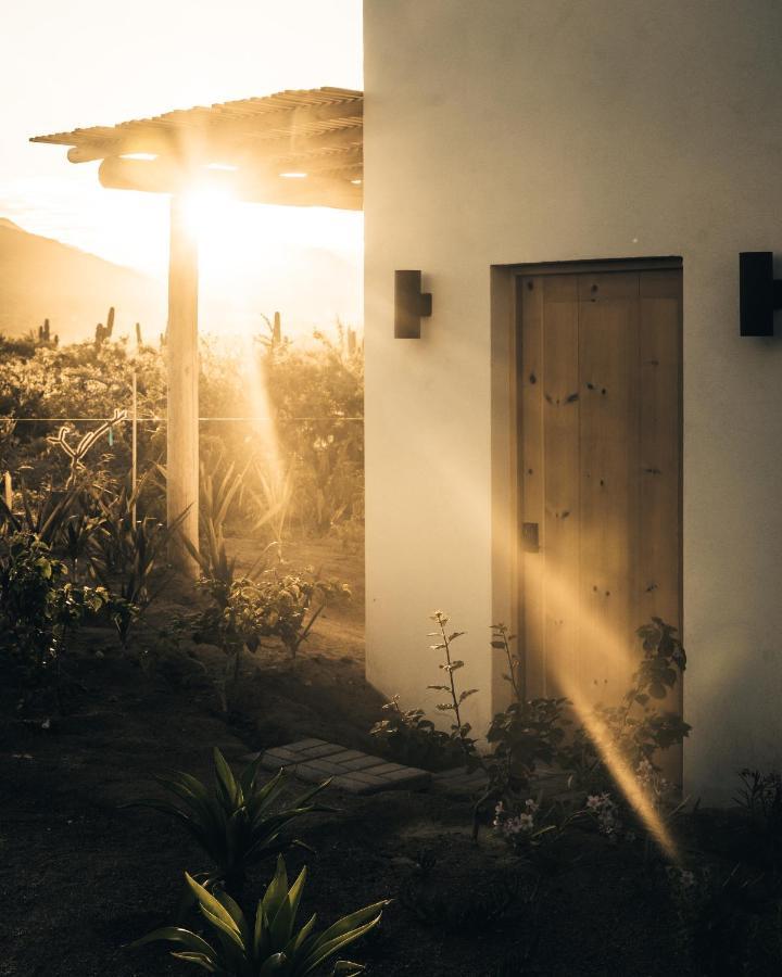 Hotel So Far So Good El Pescadero  Ngoại thất bức ảnh